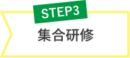 step3:集合研修