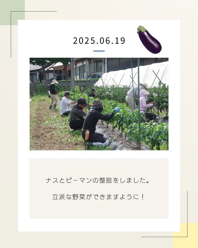 インスタグラムの投稿