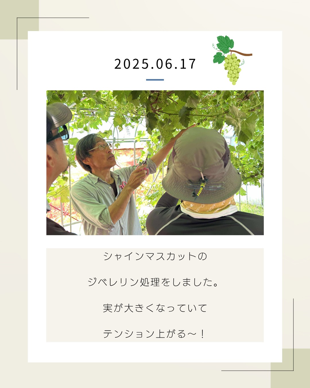 インスタグラムの投稿