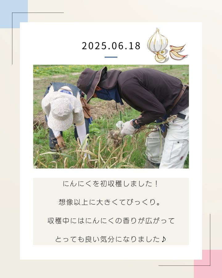 インスタグラムの投稿