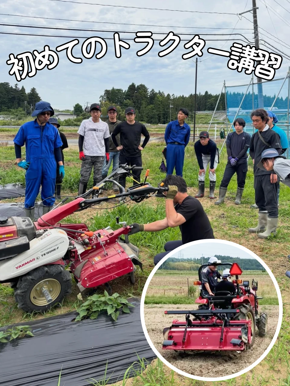 インスタグラムの投稿