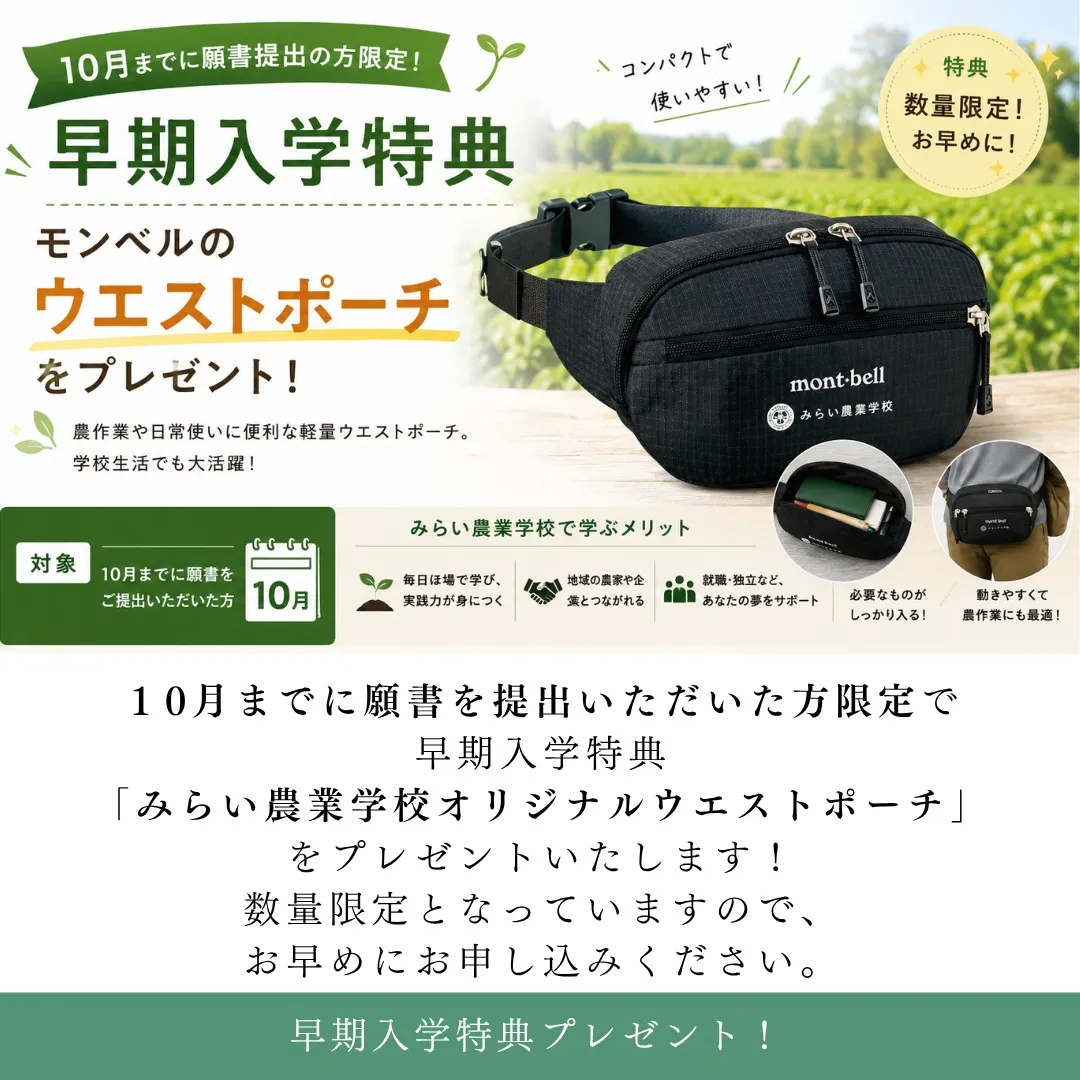 インスタグラムの投稿